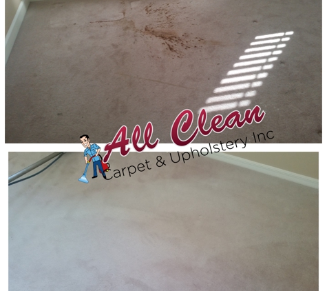 All Clean Carpet & Upholstery Inc - Orlando, FL