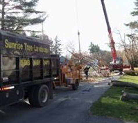 Sunrise Tree & Home Improvement - Southborough, MA