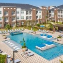 Domain Town Center - Apartments