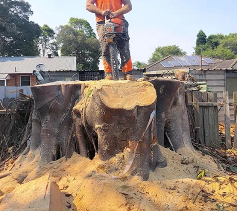 Wilson's Tree Services - Spring Gully, VIC