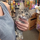 Chow Down Pet Supplies - Pet Stores