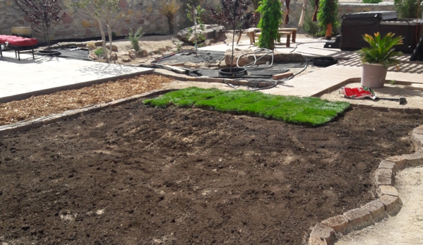 Mr Bs Sod Install - El Paso, TX