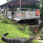 Jean Lafitte Swamp Tours