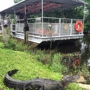 Jean Lafitte Swamp Tours