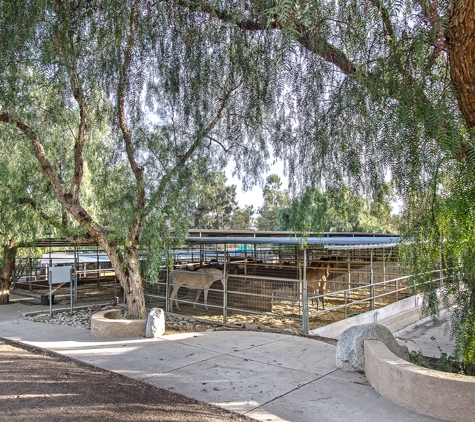 Castlerock Horse Boarding - Moorpark, CA