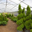 Eagle Crest Nursery - Garden Centers