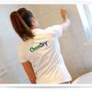 Ace Chem-Dry - Carpet & Rug Cleaning Equipment & Supplies