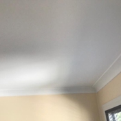 Gallery Image Number 4