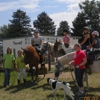 Running Wolf Riding Center gallery