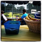 Azalea Swim & Tennis Club