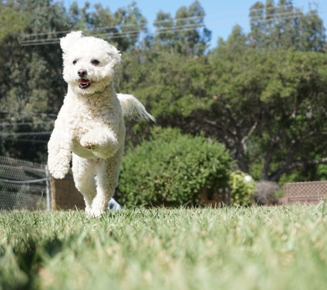 Topanga Pet Resort - Topanga, CA