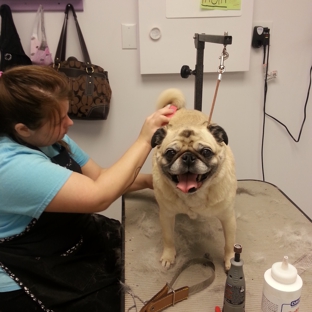 Adorable Dog Grooming - Hillsboro, MO