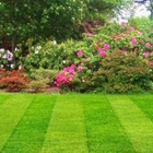 Stanley's Simply Green Lawn Maintenance & Landscaping
