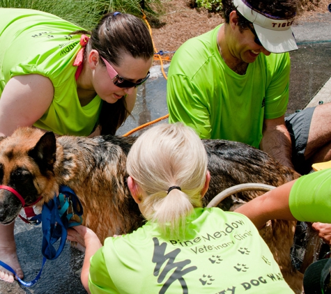 Pine Meadow Veterinary Clinic - Pensacola, FL