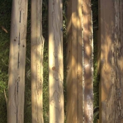 Gallery Image Number 2