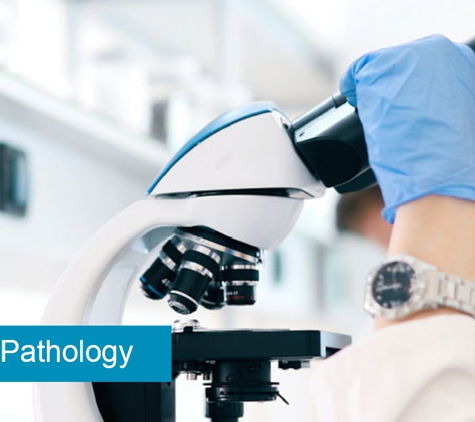 Reynella Veterinary Clinic - Morphett Vale, SA. Clinical Pathology