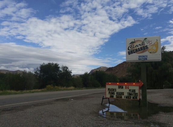 Clark Family Orchards - Palisade, CO