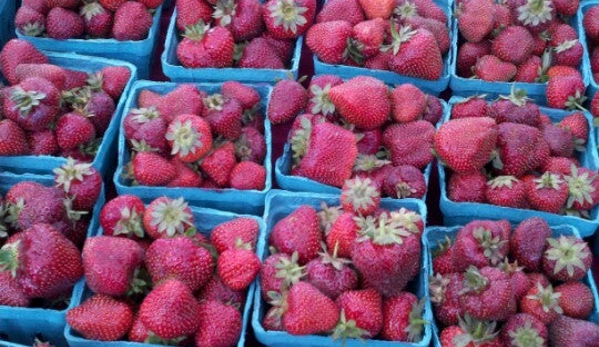 Hollywood Farmers Market - Portland, OR