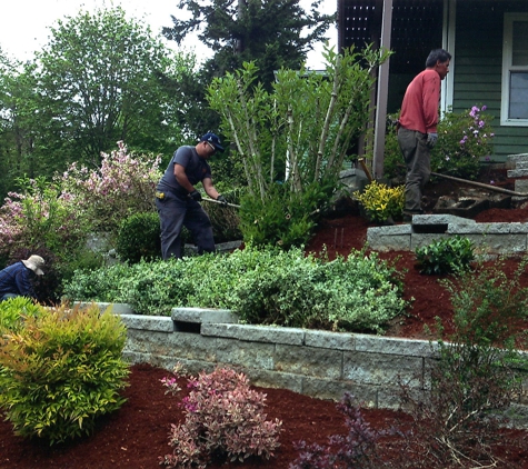 DS Landscape Design & Installation - Renton, WA