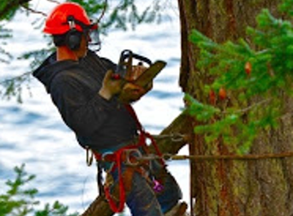 Limbs & Things Tree Service - Loveland, CO