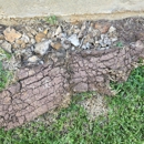 Landscape Professionals of Texas - Gardeners