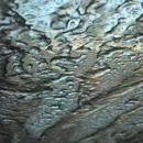 Auto Pride Car Wash - Car Wash