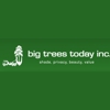 Big Trees Today gallery
