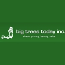 Big Trees Today - Seeds & Bulbs
