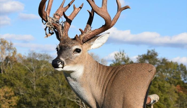 Darryl Shearon Taxidermy - Pleasant View, TN