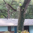 Hunter Tree Service