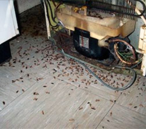 Preferred Management - Elgin, IL. Bugs inLaundry in Floor