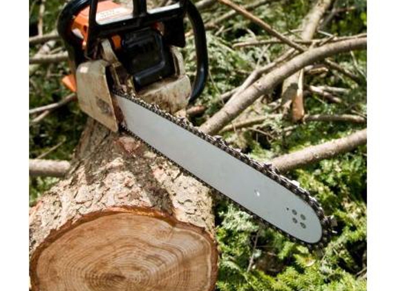 Craig's Saw Sharpening - Pambula, NSW
