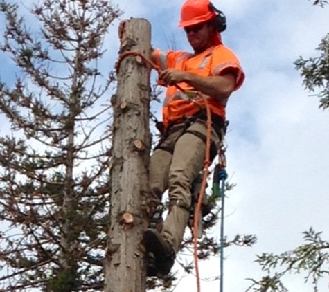 Central Valley Humble Tree Care - Madera, CA. SAFTY IS OUR MAIN PRIORITY