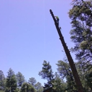 Arborist Standards Tree Care - Arborists