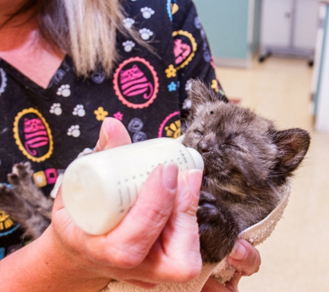 Brown Veterinary Hospital - Terre Haute, IN