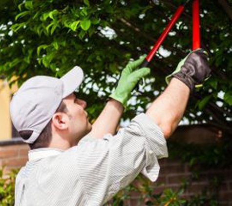 Maxon's Tree Service - White Lake, MI