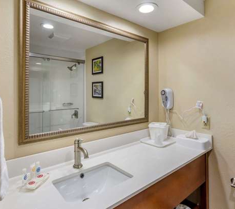 Comfort Inn - Waynesboro, VA