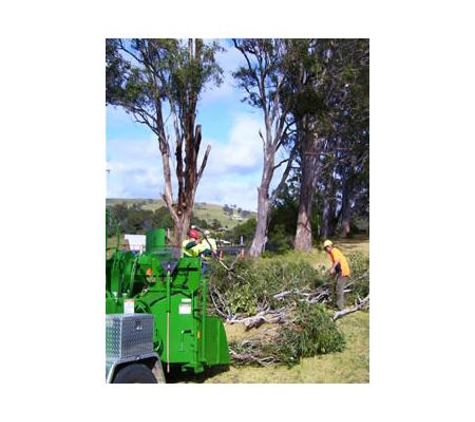 Sapphire Coast Tree Service & Tower Hire - South Pambula, NSW