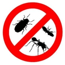 Bonas Pest Control Inc - Pest Control Services