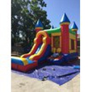 Briana's Party Rentals - Plants