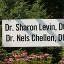 Levin and Chellen Chiropractic - Alternative Medicine & Health Practitioners
