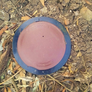Total Pest Services - Dalby, QLD
