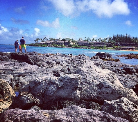 The Napili Bay - Lahaina, HI