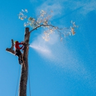 Northside Tree Professionals