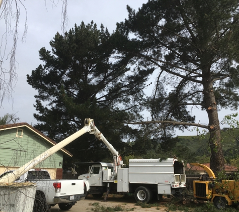 Quality and Low Cost Tree Service Inc - Seaside, CA