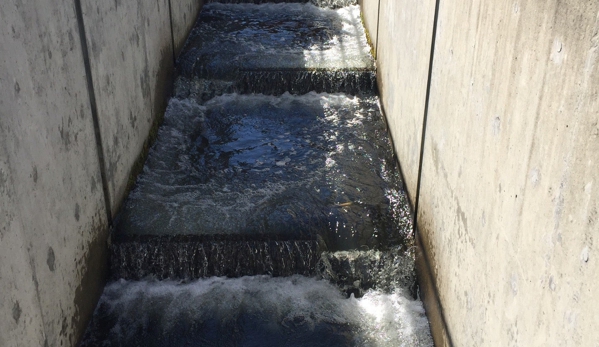 Issaquah State Salmon Hatchery - Issaquah, WA