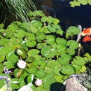 RCC Pond Services LLC - Landscape Designers & Consultants