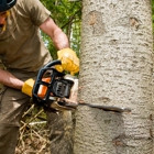 Hendrix Tree And Lawn Service