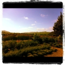 Paraduxx - Wineries