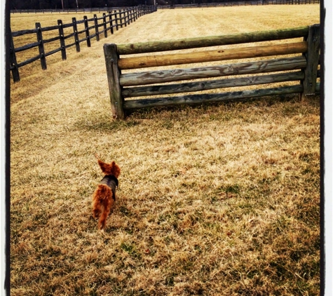 Radnor Hunt - Malvern, PA